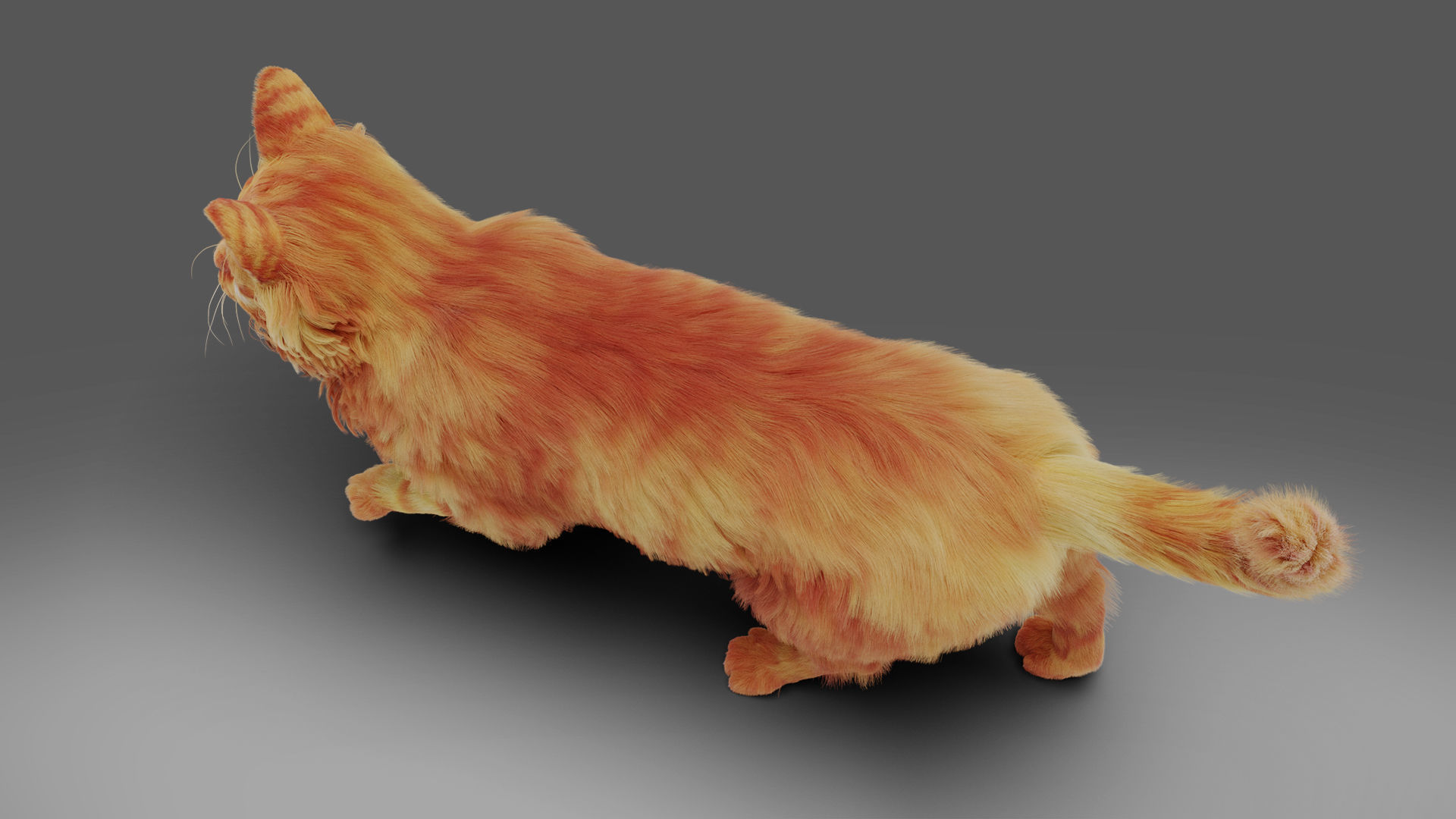 Fur Cat Yellow V3 Rigged Low-poly 3D model_3