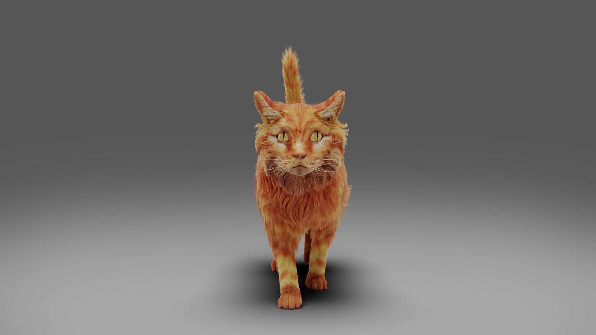 Fur Cat Yellow V3 Rigged Low-poly 3D model_5