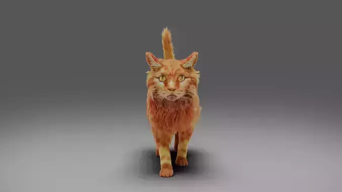 Fur Cat Yellow V3 NO Rigged 