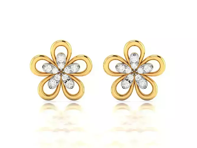 Women Earrings