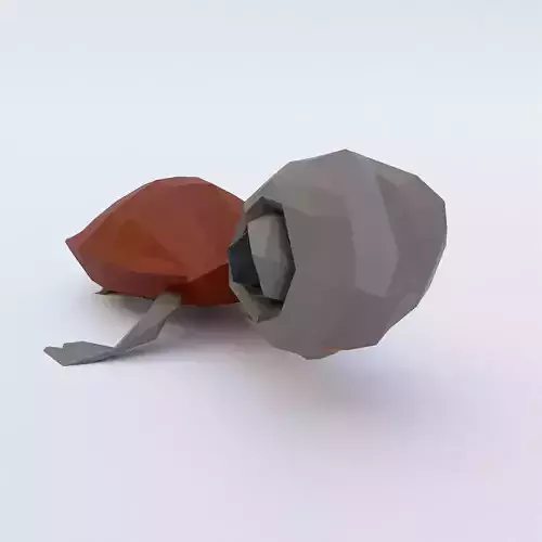 Baby turtle toon 3d model 