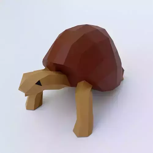 Turtle low poly 3d model tortoise