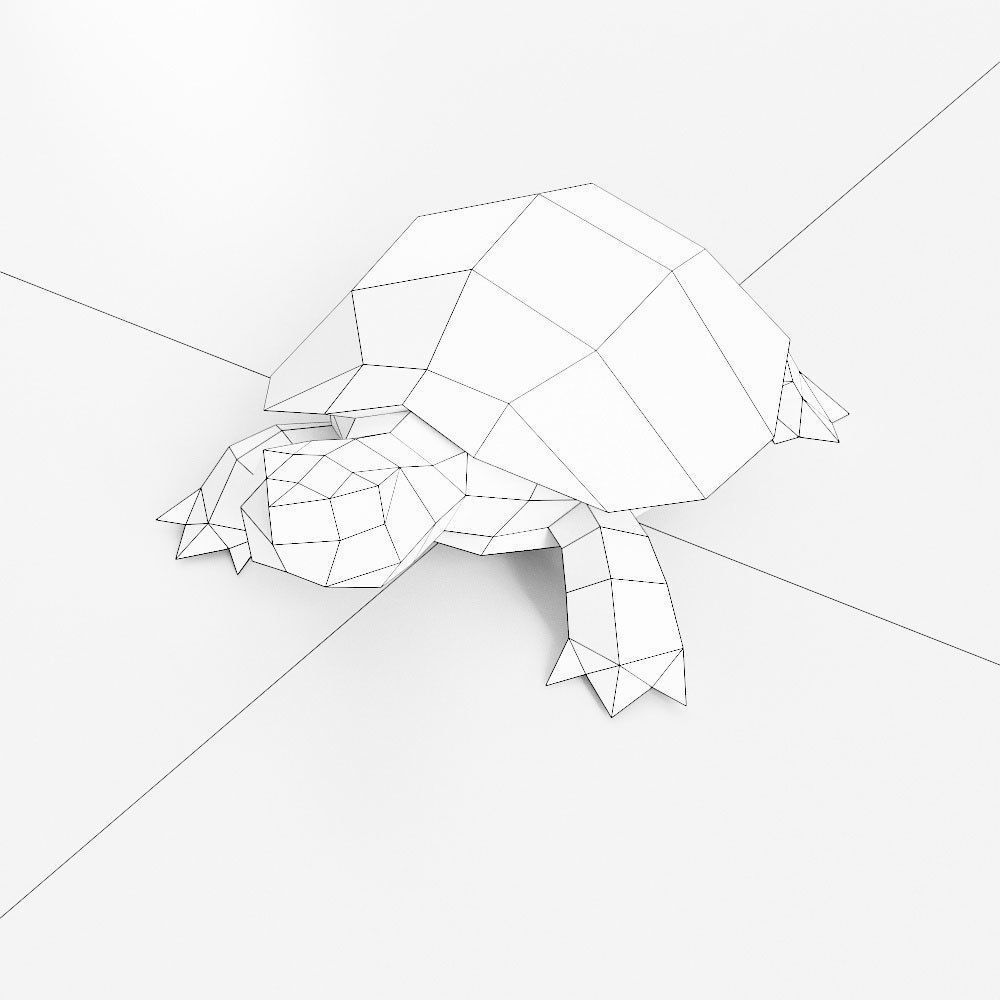 Turtle toon 3d model  Low-poly 3D model_3
