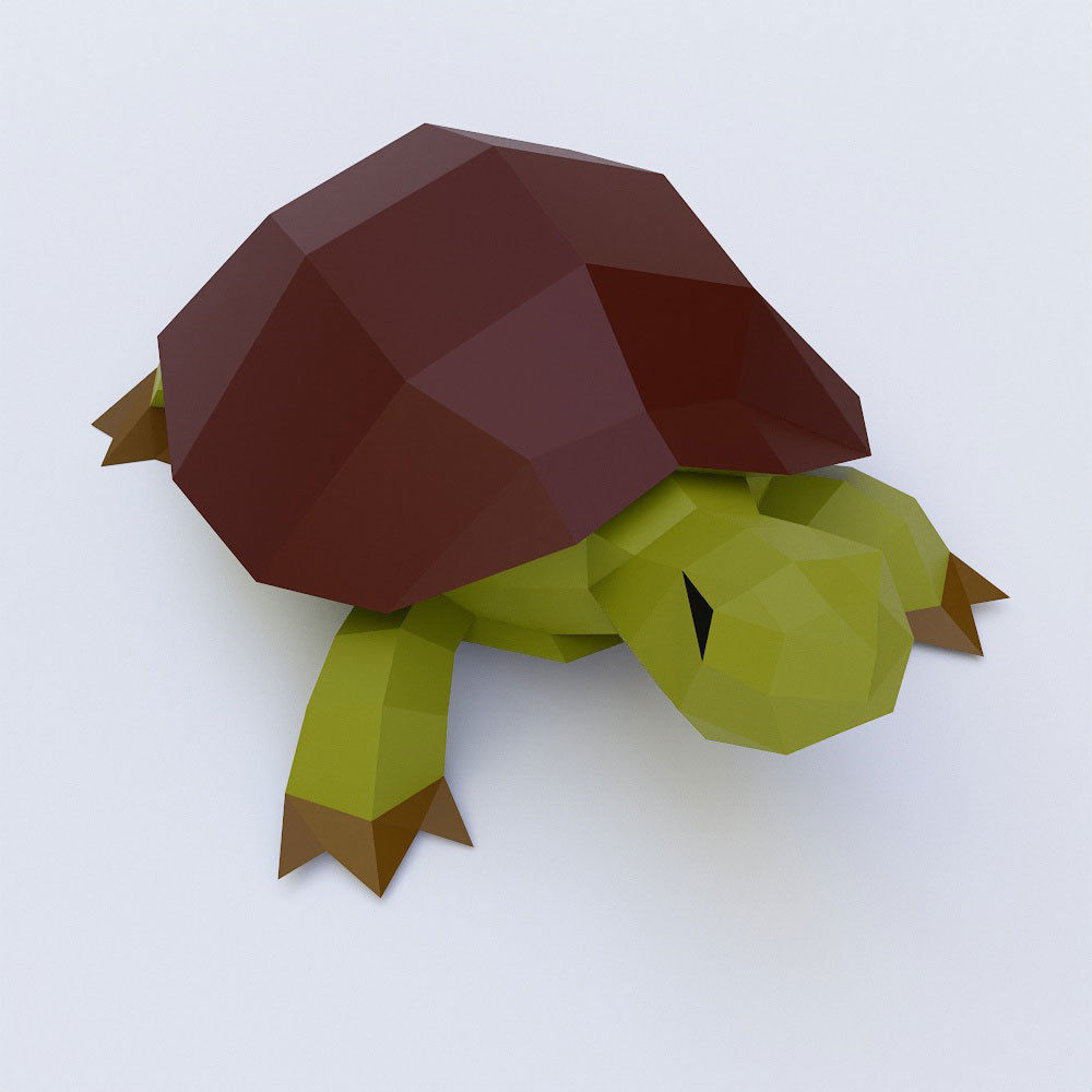 Turtle toon 3d model  Low-poly 3D model_1