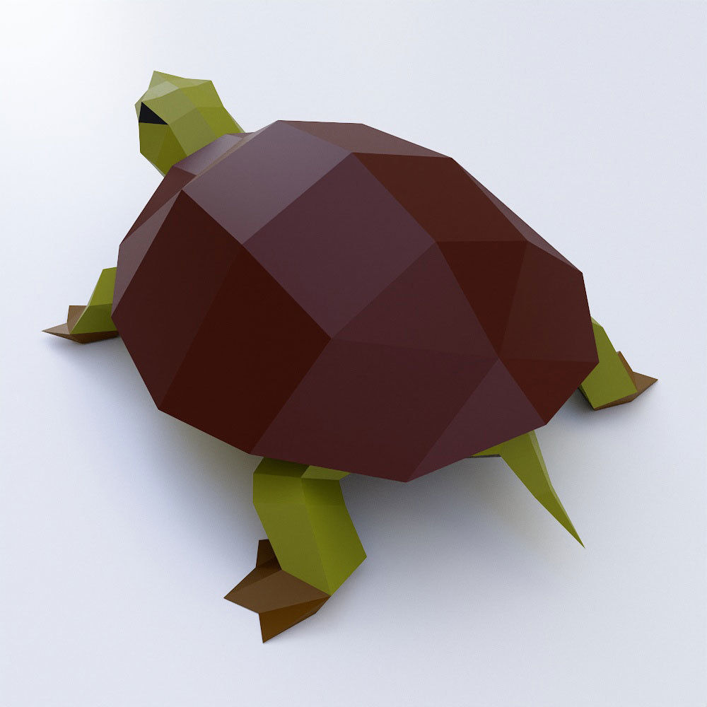 Turtle toon 3d model  Low-poly 3D model_2
