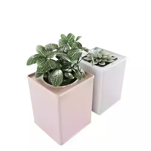 Plants two square planters