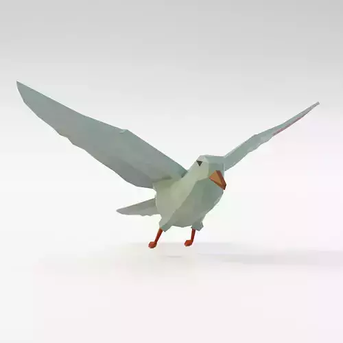 Dove bird low poly 3d model  Low-poly 3D model