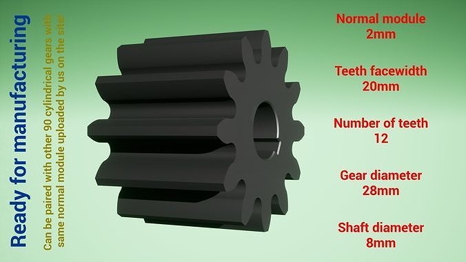 Cylindrical gear - paired - z12 m2 D28 d8 3D print model