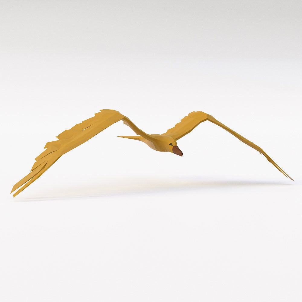 Seagull 3d model bird in flight Low-poly 3D model_1