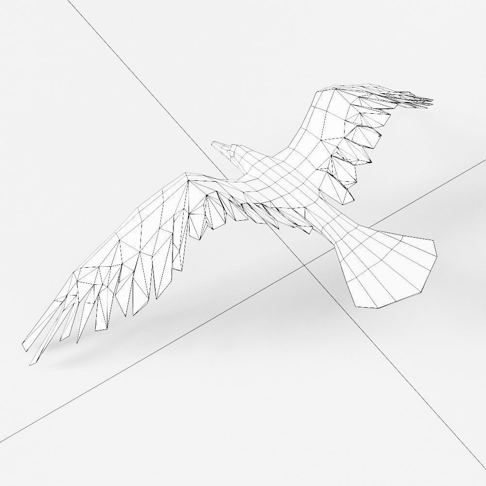 Seagull 3d model bird in flight Low-poly 3D model_5