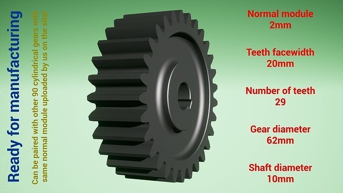 Cylindrical gear - paired - z29 m2 D62 d10 3D print model