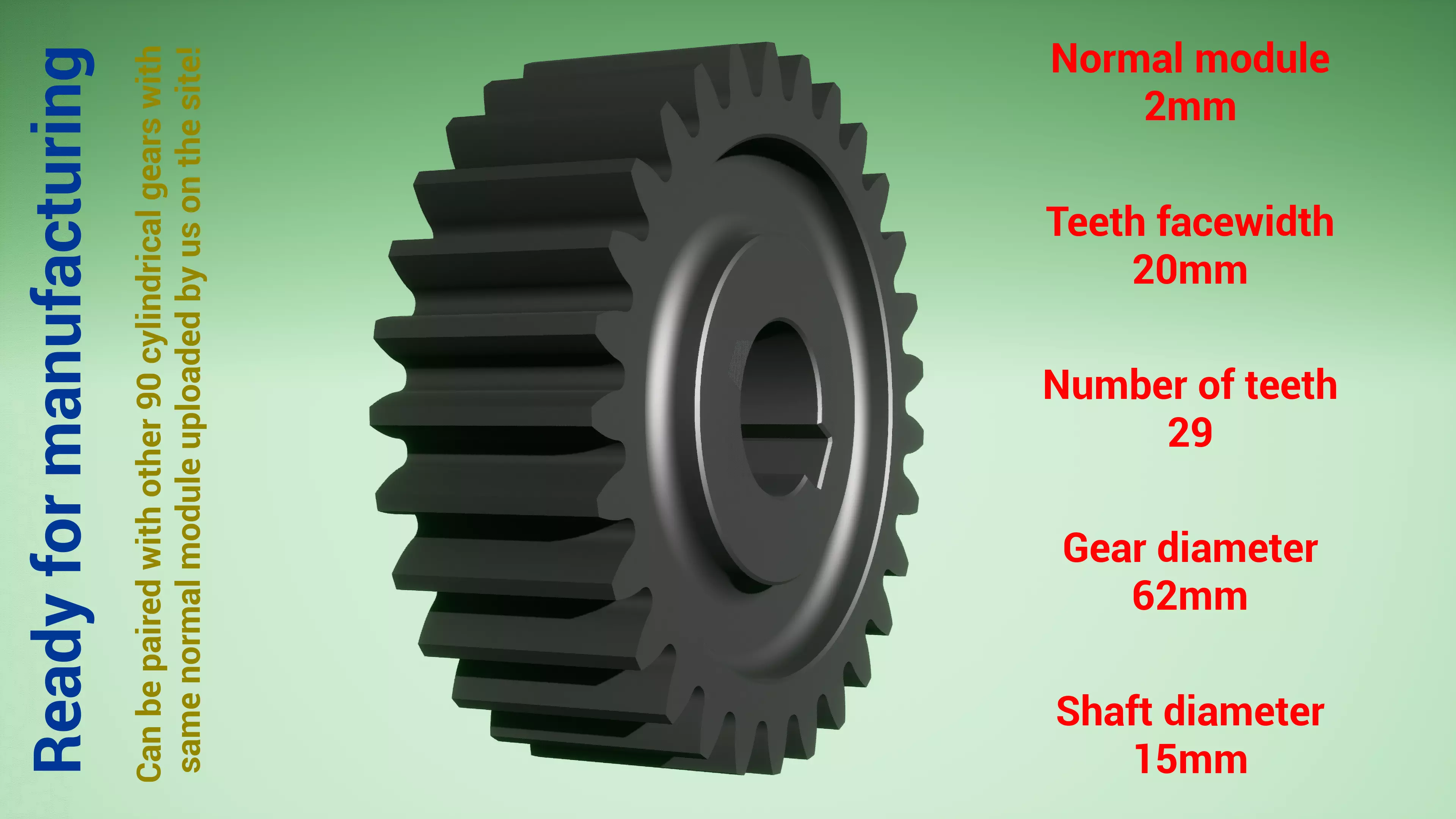 Cylindrical gear - paired - z29 m2 D62 d15 3D print model