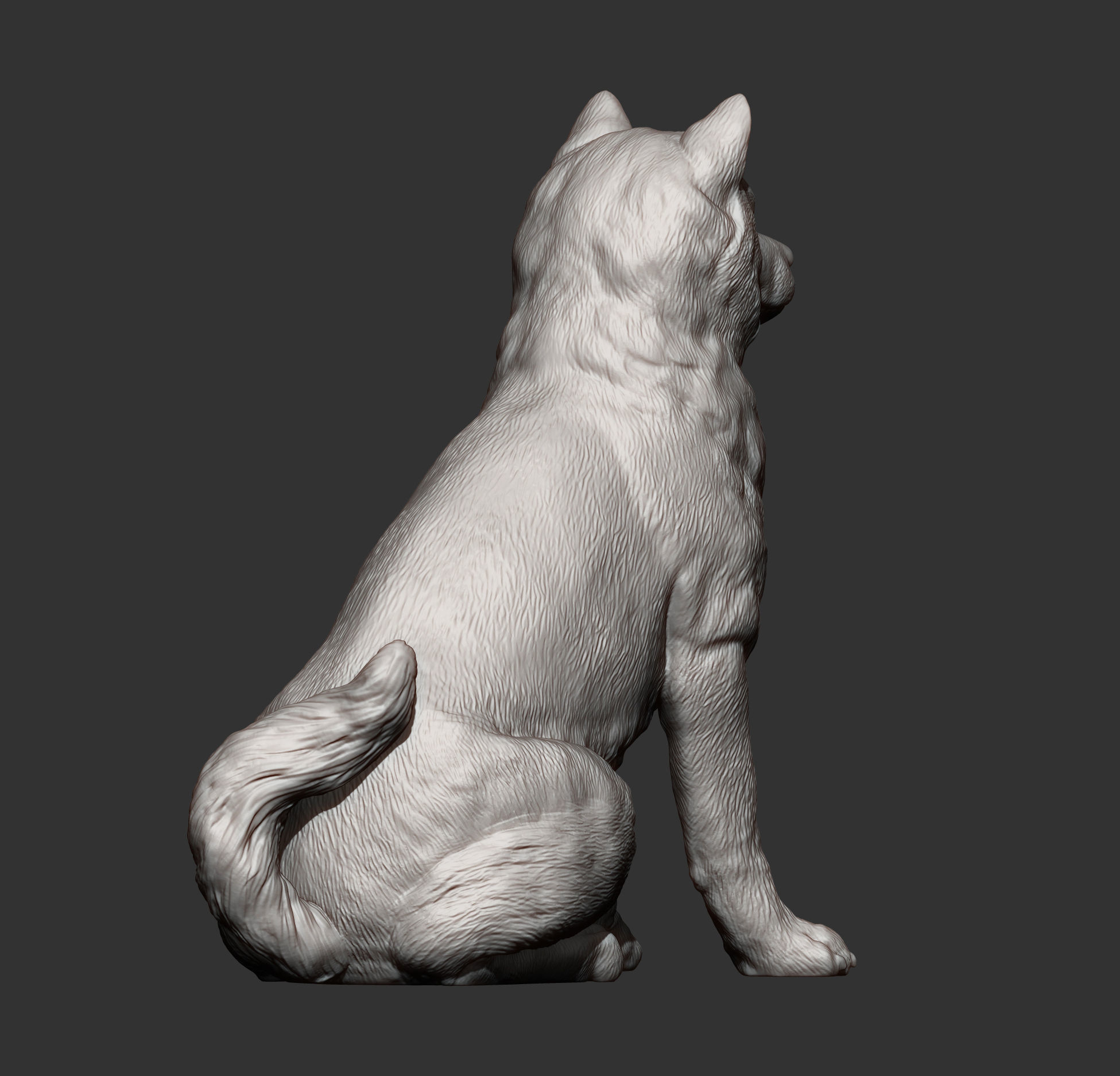 shiba inu 3D print model_15