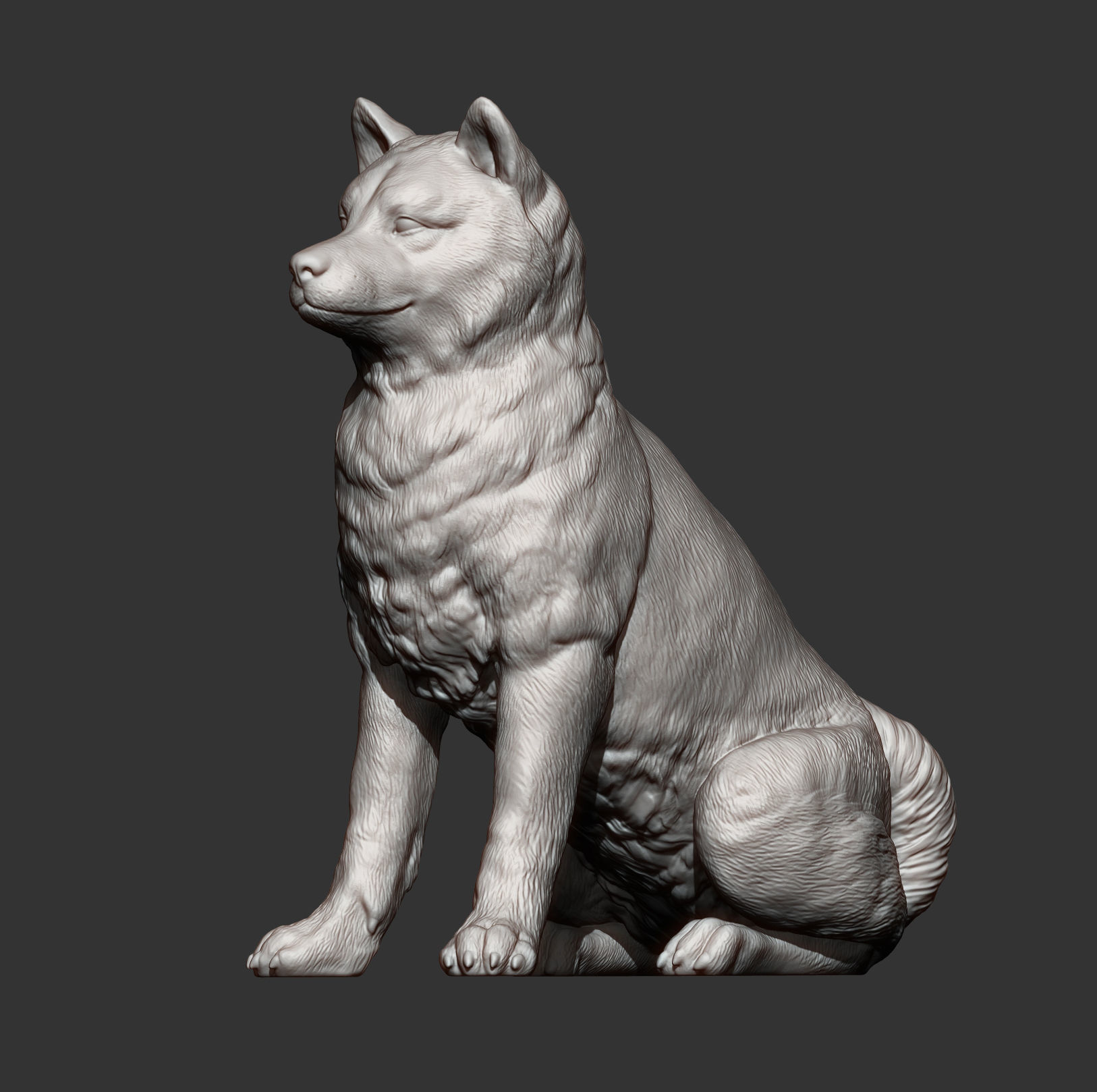 shiba inu 3D print model_12