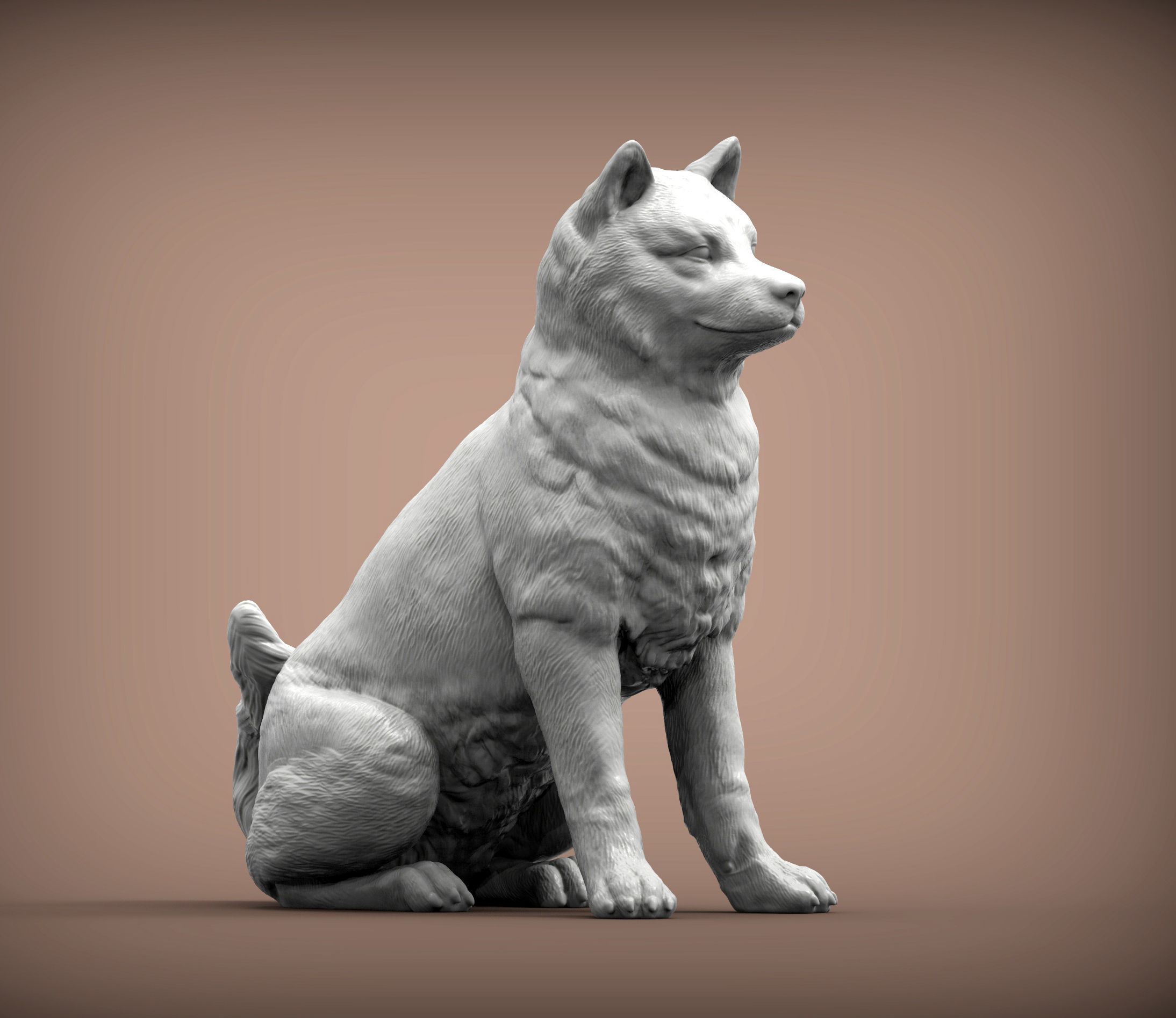 shiba inu 3D print model_4