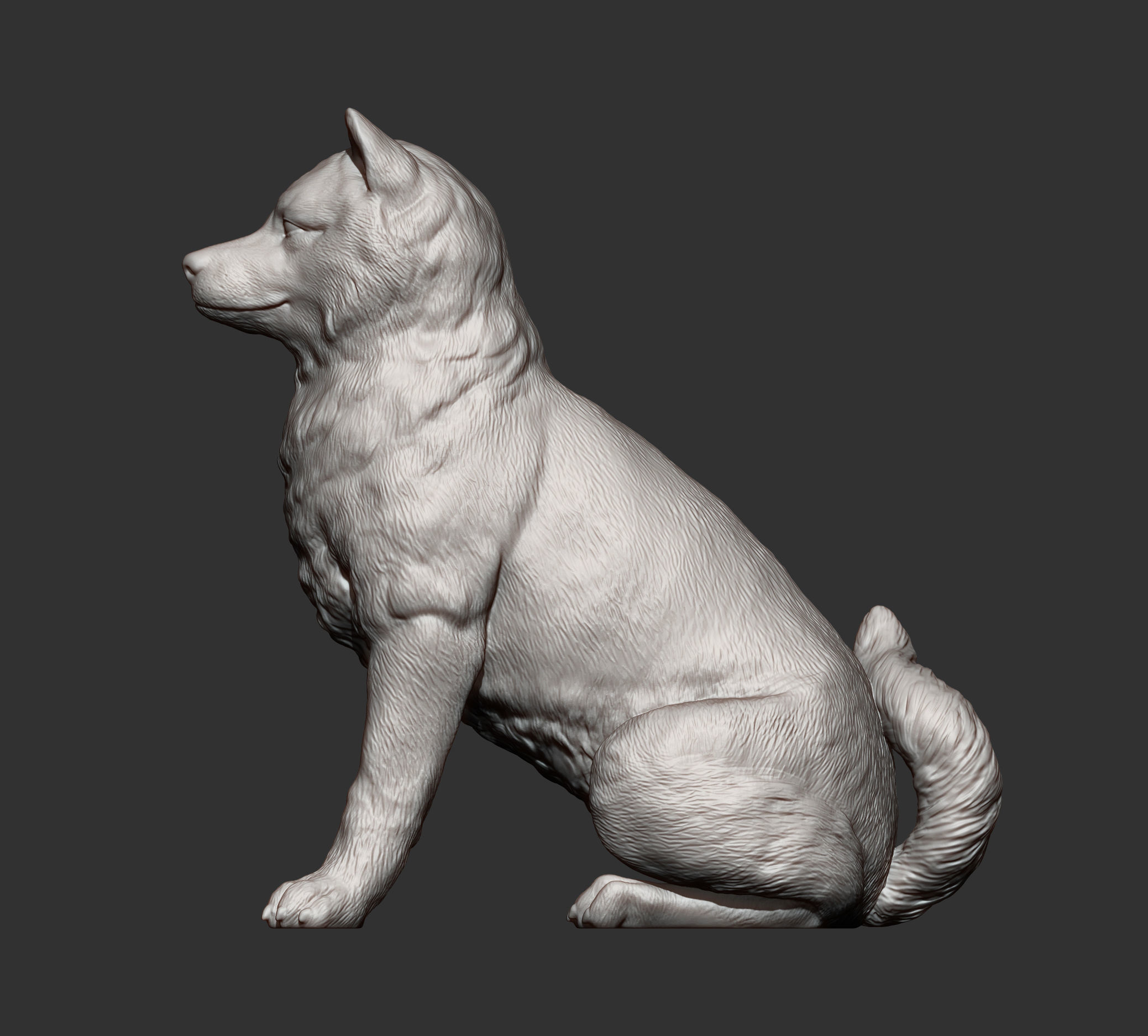 shiba inu 3D print model_11