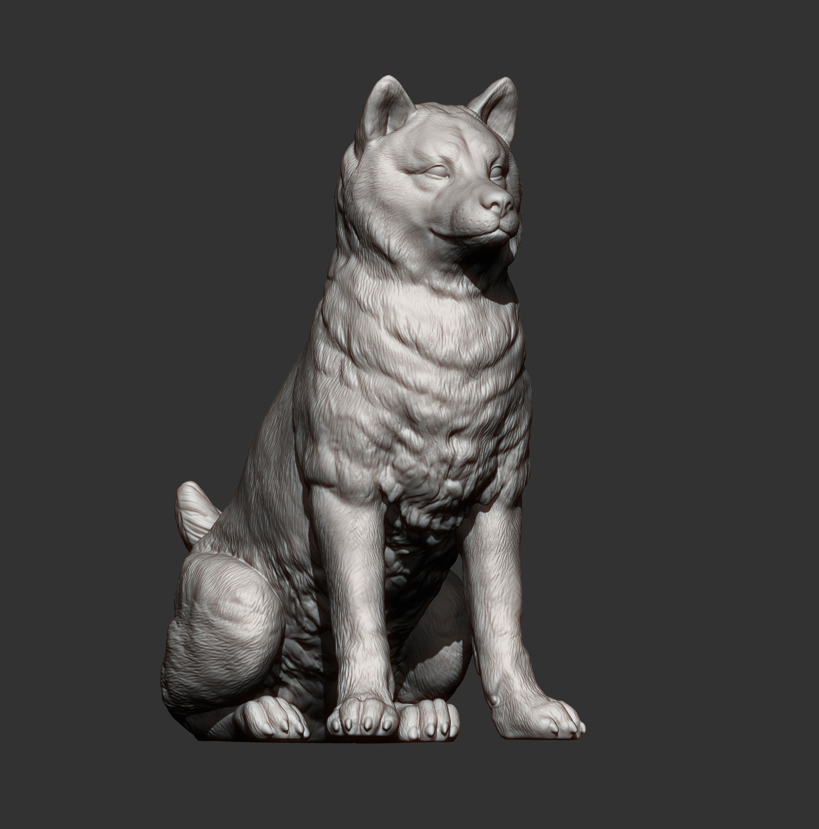 shiba inu 3D print model_9