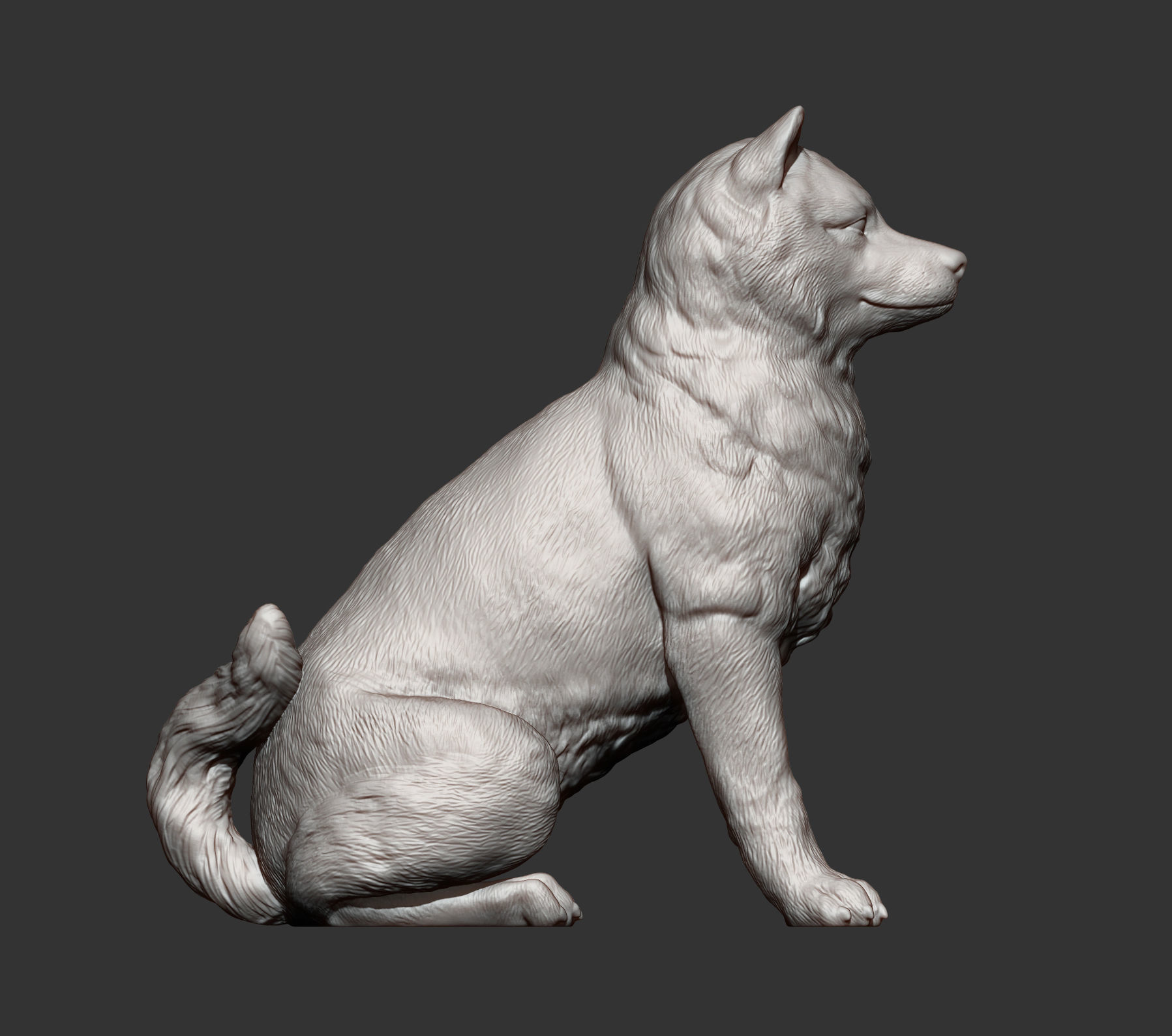 shiba inu 3D print model_8