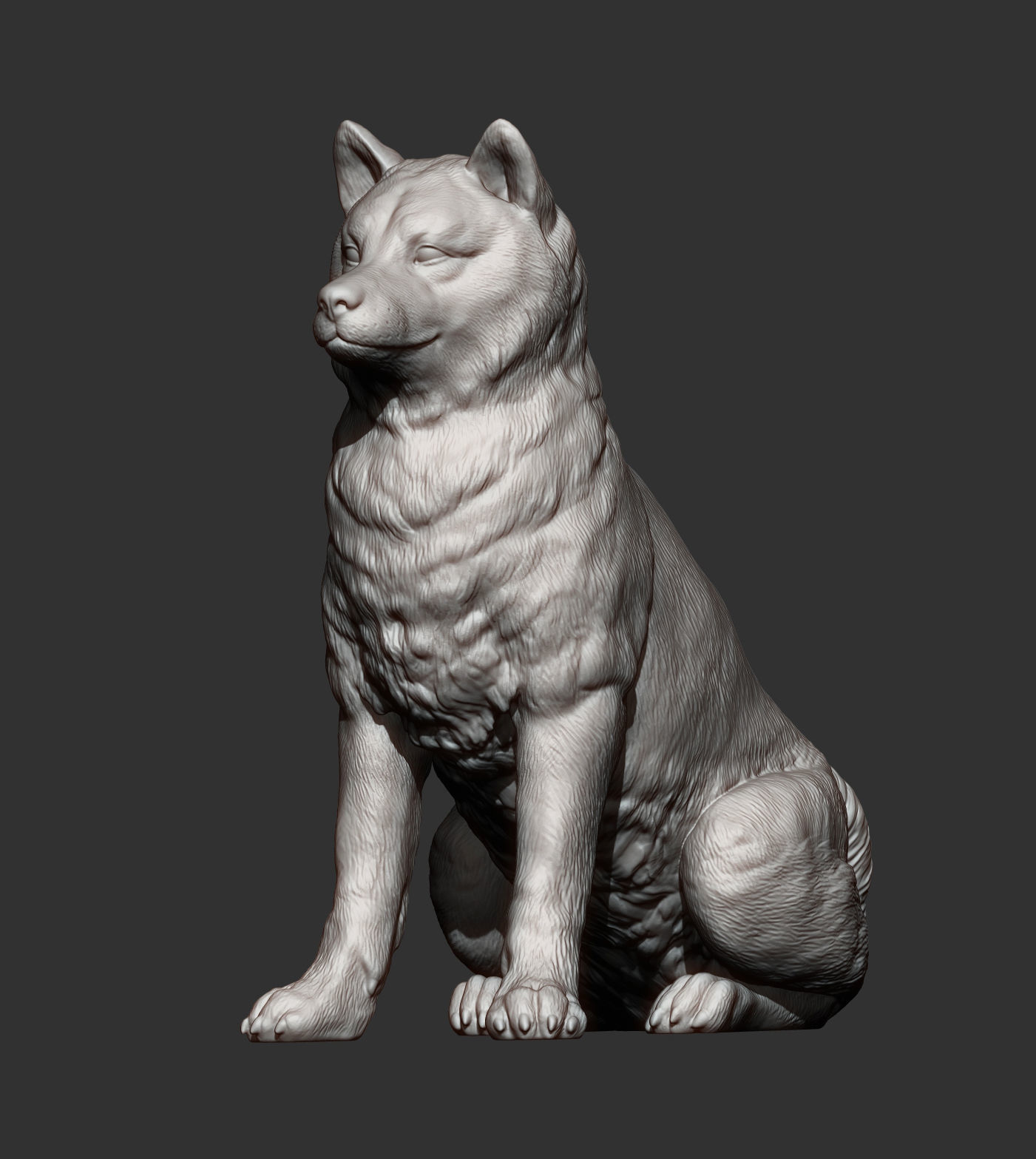 shiba inu 3D print model_10