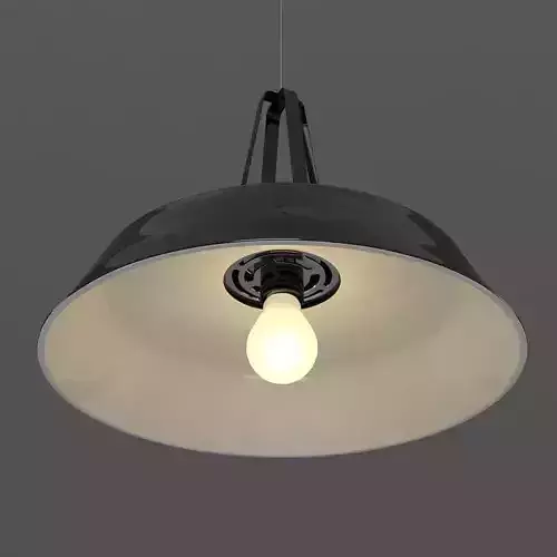 Black Ceiling Lamp