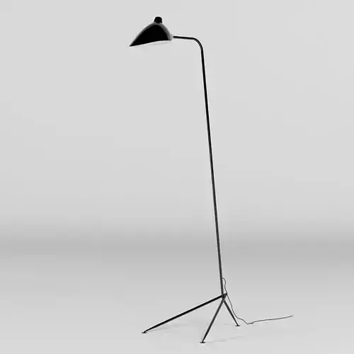 Serge Mouille Lampadaire