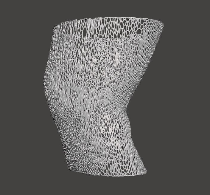 Voronoi Pattern use - example - right knee cast  Free 3D model_1