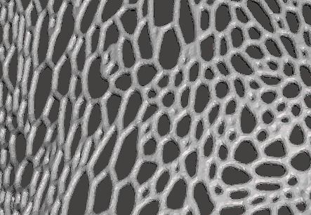 Voronoi Pattern use - example - right knee cast  Free 3D model_4