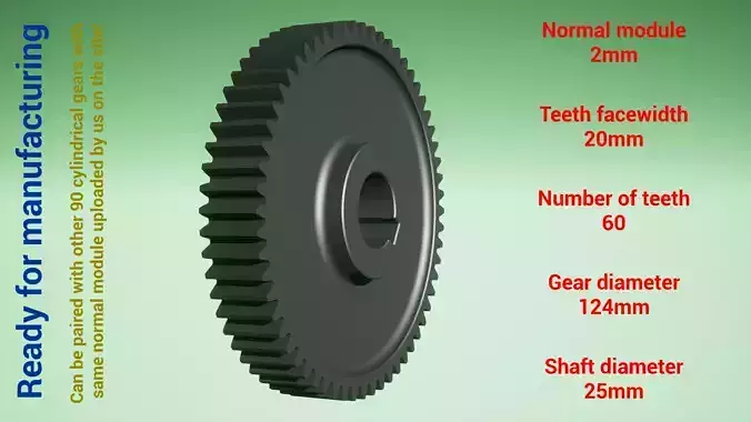 Cylindrical gear - paired - z60 m2 D124 d25