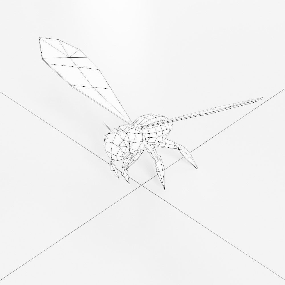 Honey Bee 3d model  Low-poly 3D model_3