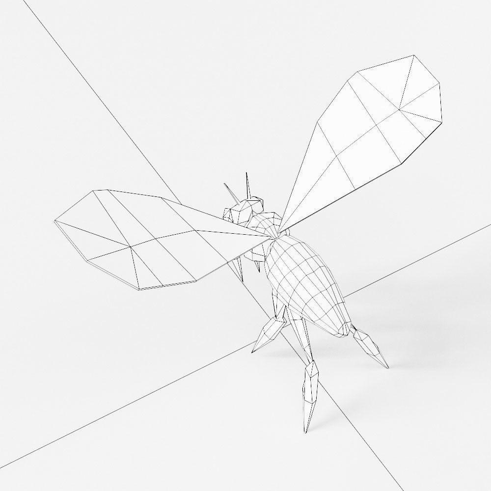Honey Bee 3d model  Low-poly 3D model_5