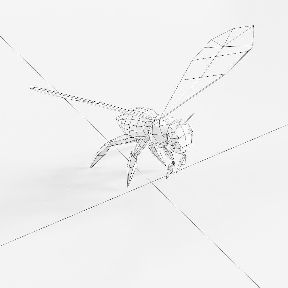Honey Bee 3d model  Low-poly 3D model_4