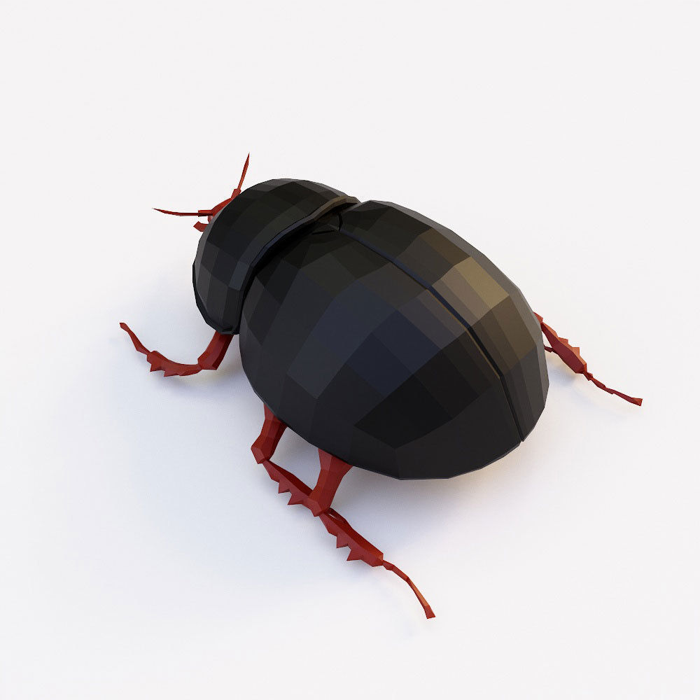 Beetle 3d model Low-poly 3D model_2