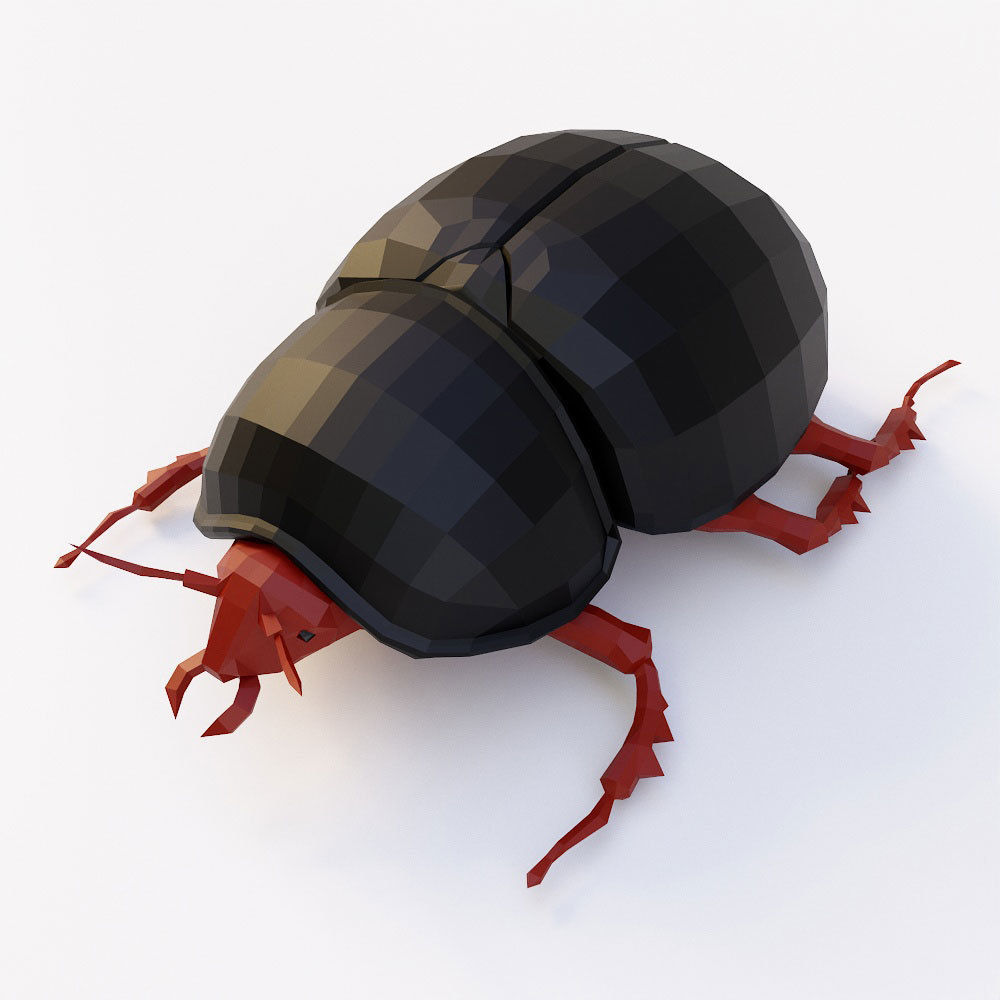 Beetle 3d model Low-poly 3D model_1