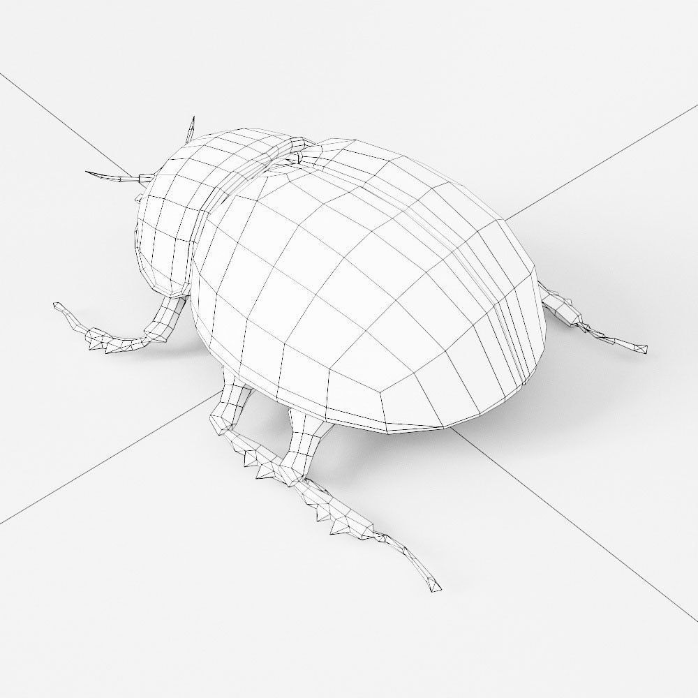 Beetle 3d model Low-poly 3D model_4