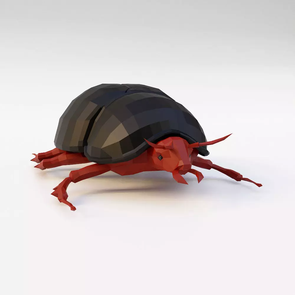 Beetle 3d model Low-poly 3D model_0