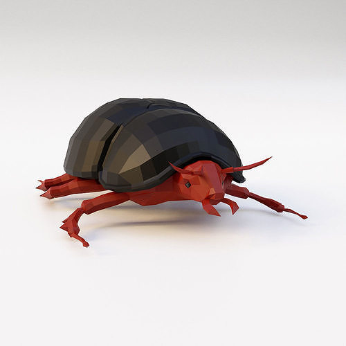 Beetle 3d model Low-poly 3D model