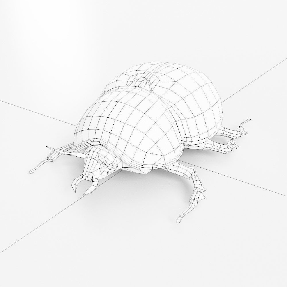 Beetle 3d model Low-poly 3D model_3