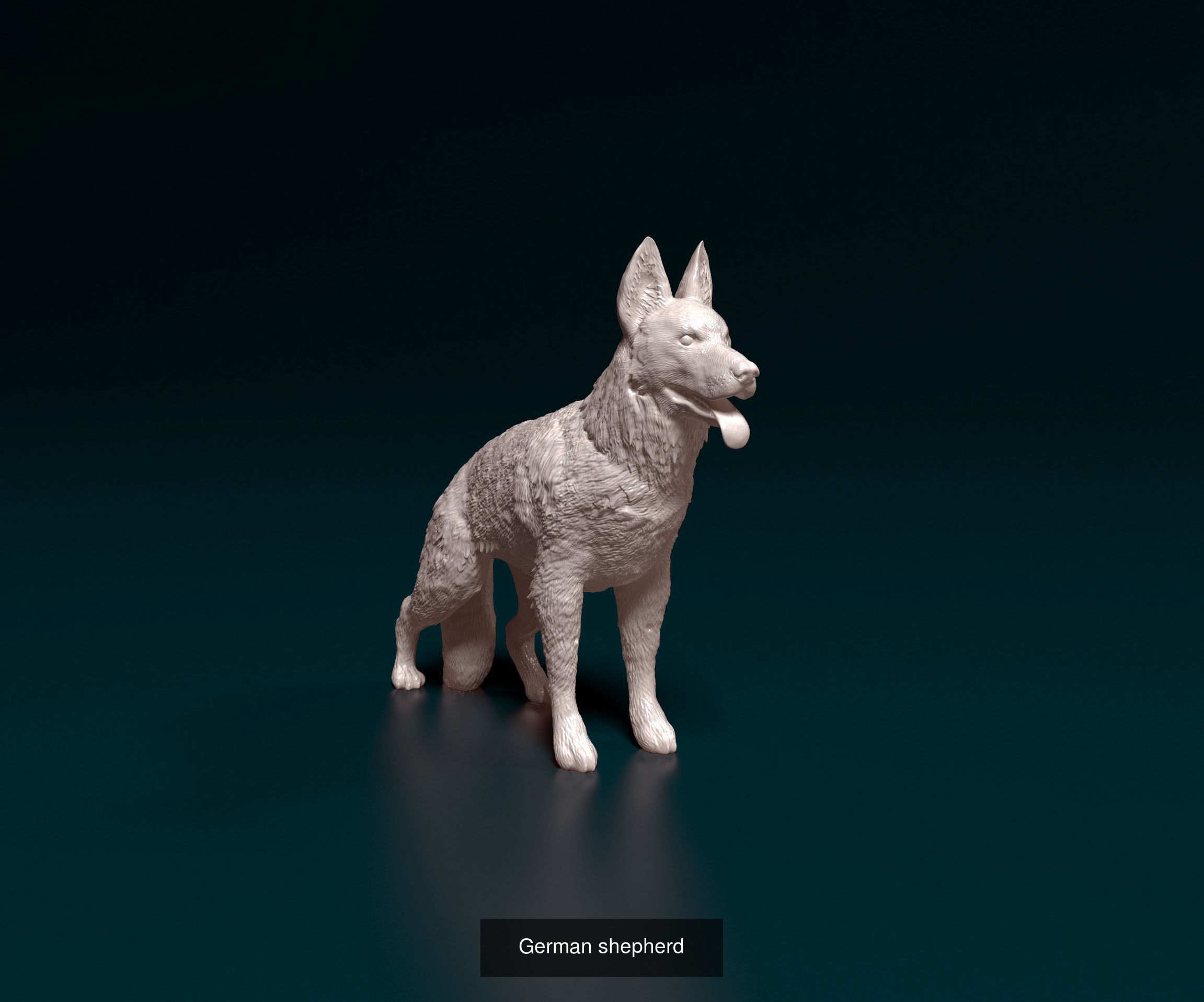 German Shepherd Collection _3