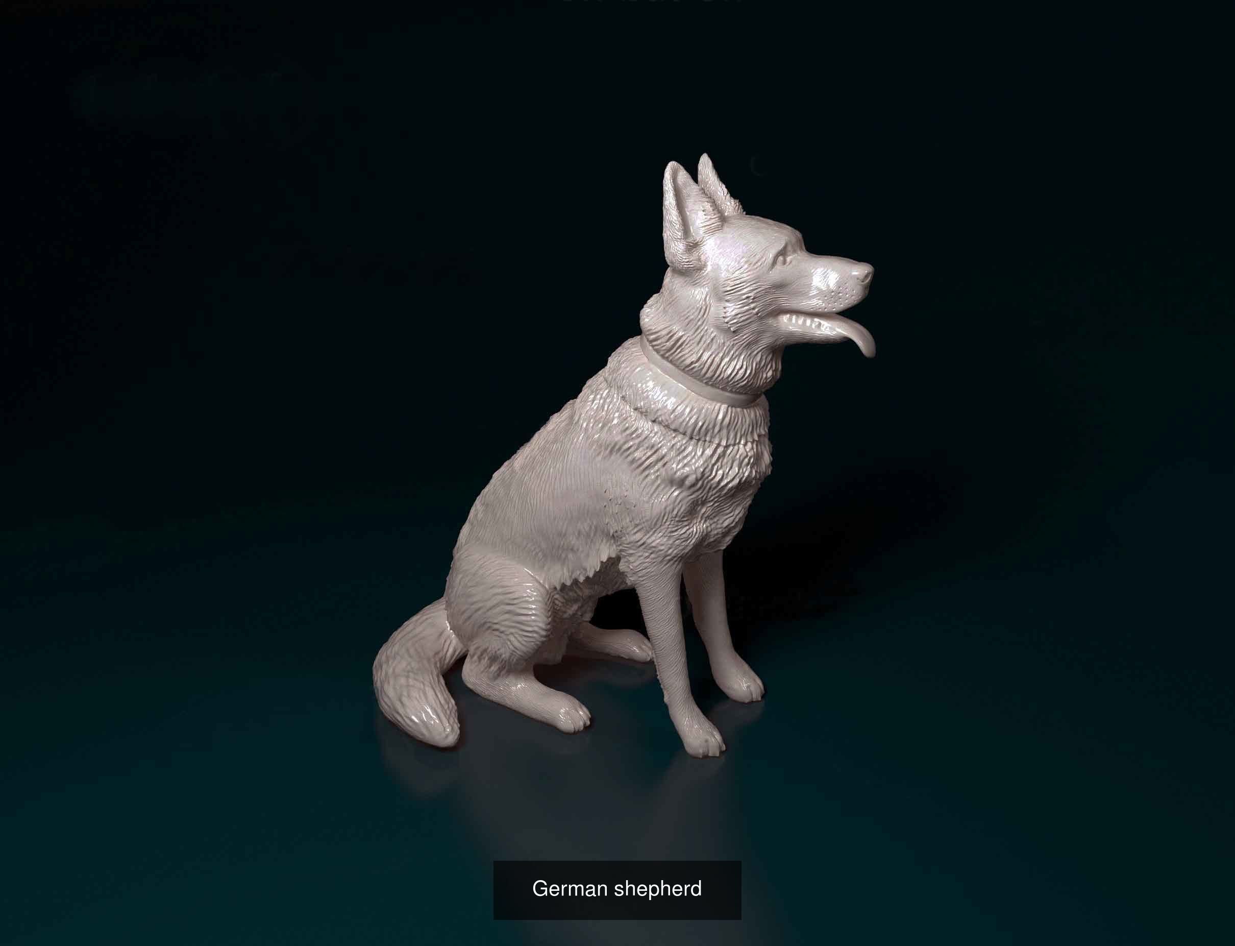 German Shepherd Collection _4