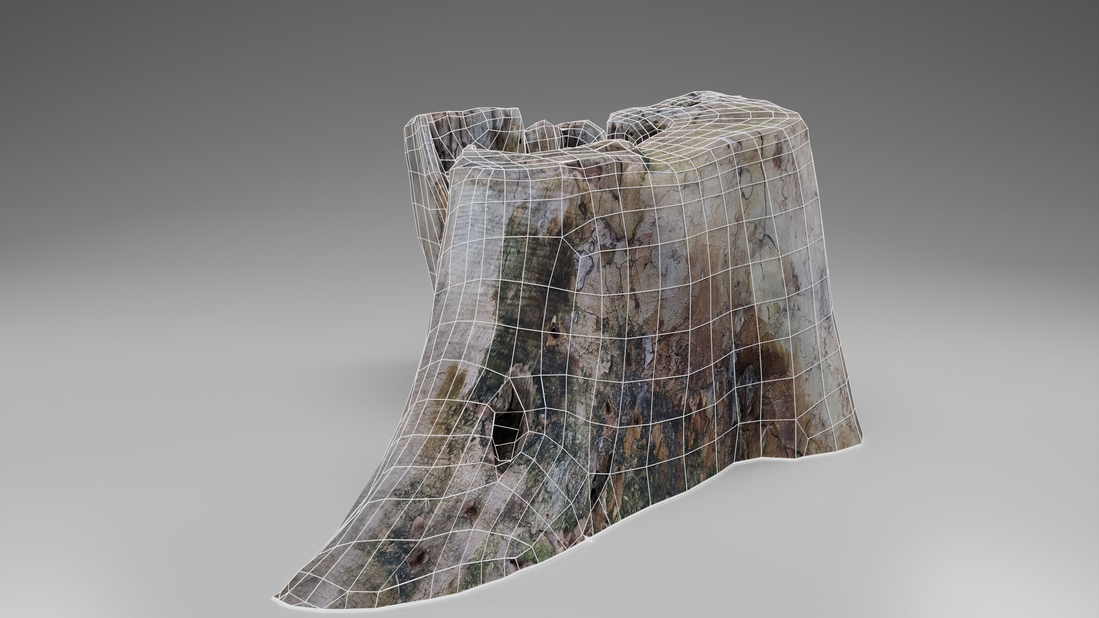 Tree Stump 002 Photoscan PBR Game Ready Free low-poly 3D model_7