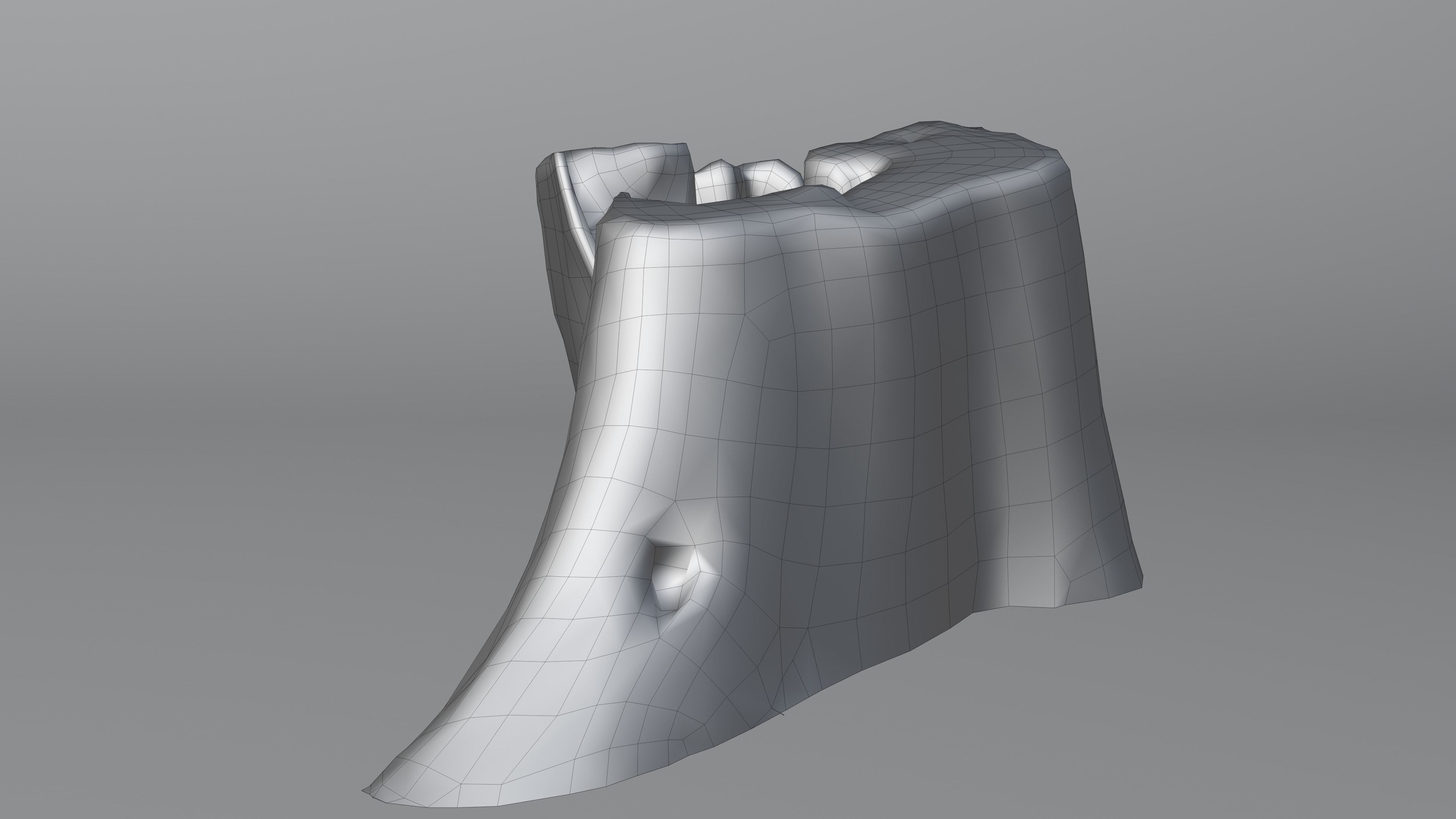 Tree Stump 002 Photoscan PBR Game Ready Free low-poly 3D model_20