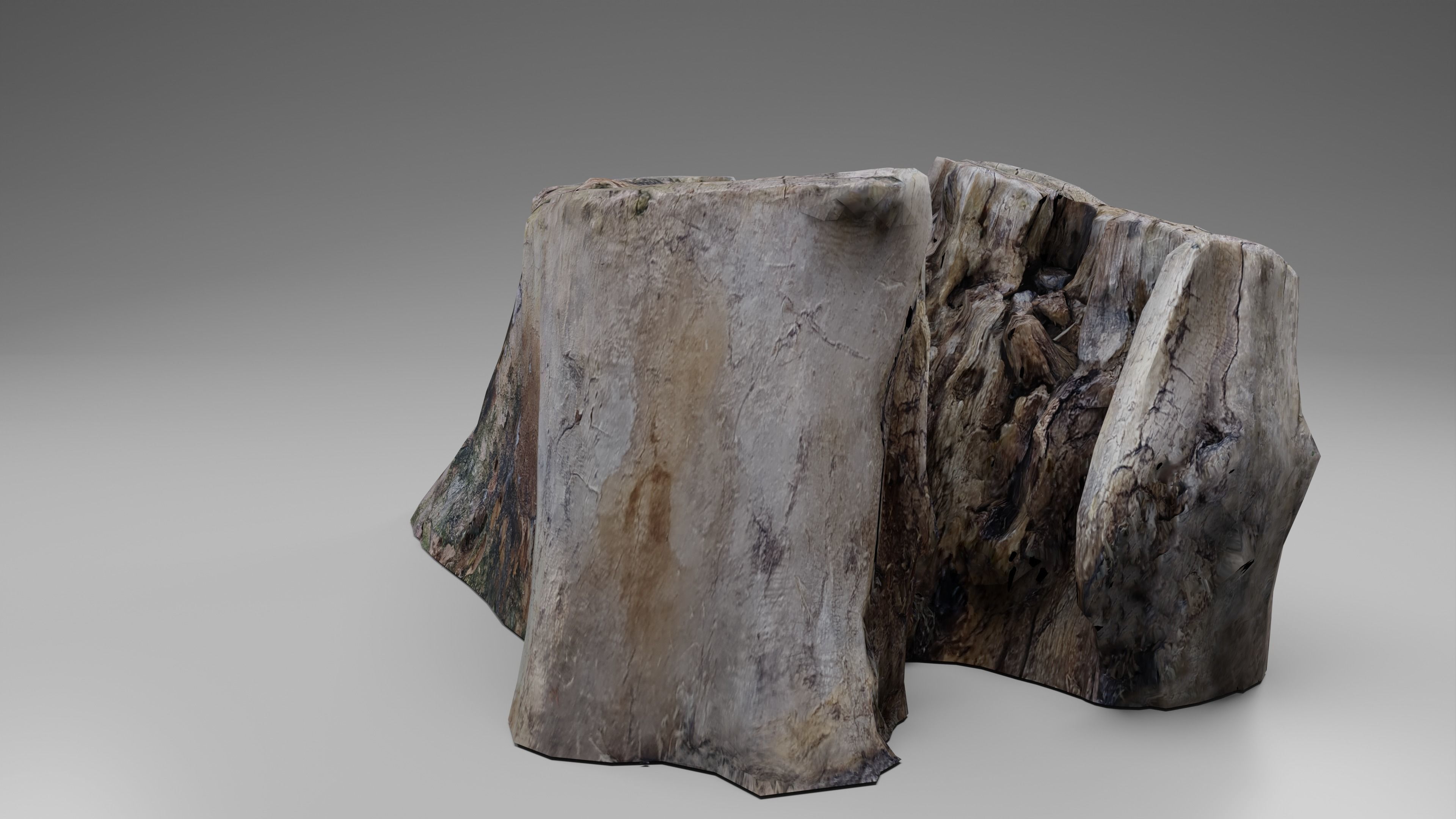 Tree Stump 002 Photoscan PBR Game Ready Free low-poly 3D model_4
