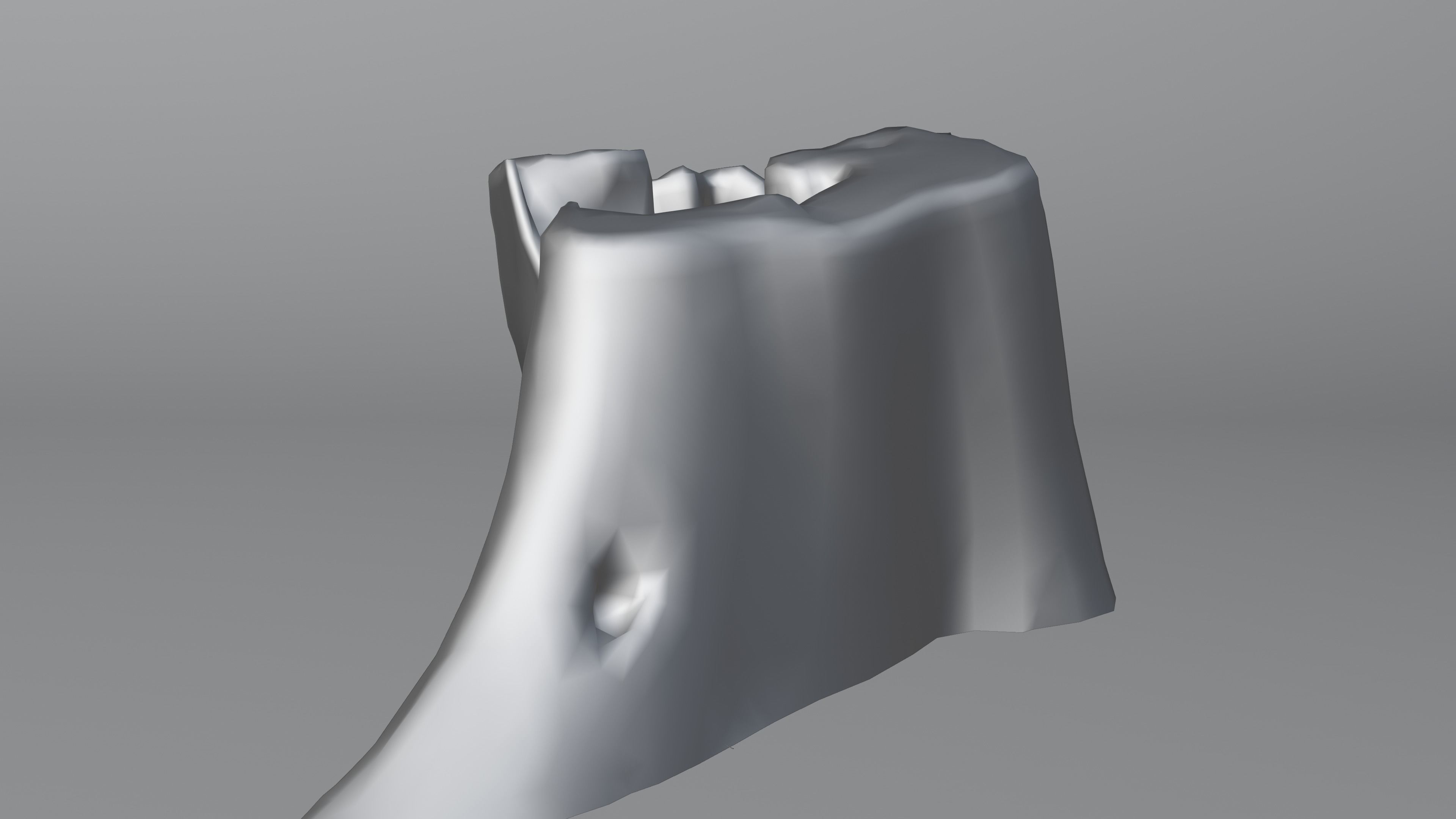 Tree Stump 002 Photoscan PBR Game Ready Free low-poly 3D model_14