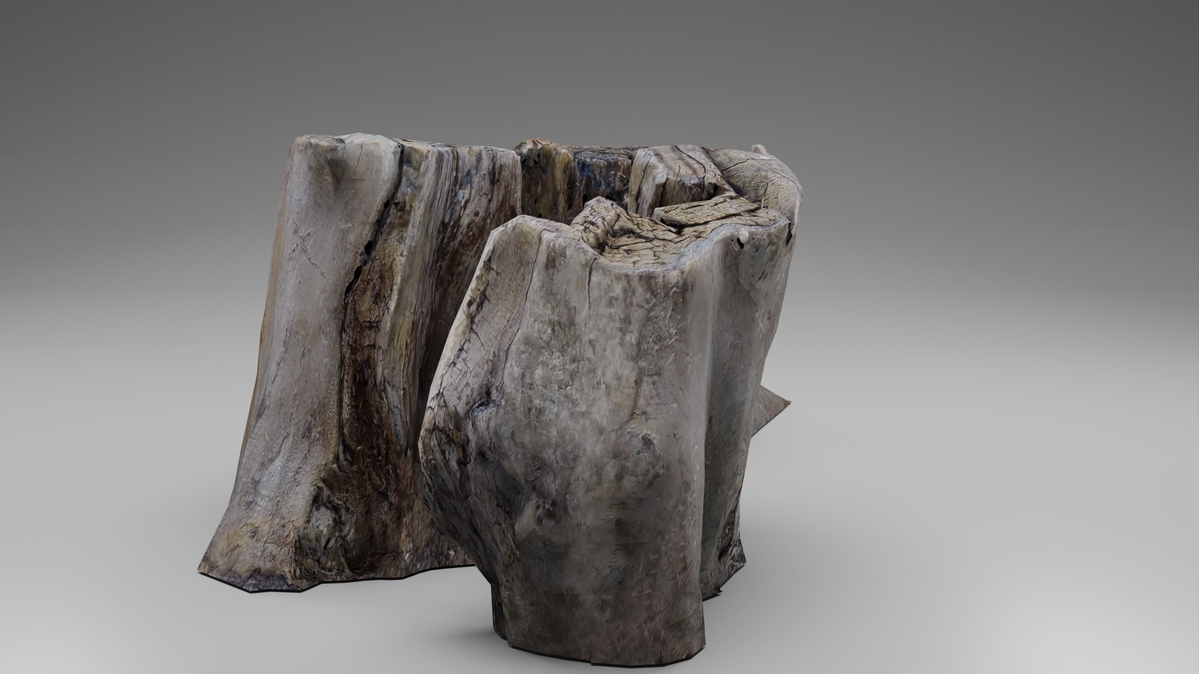 Tree Stump 002 Photoscan PBR Game Ready Free low-poly 3D model_3