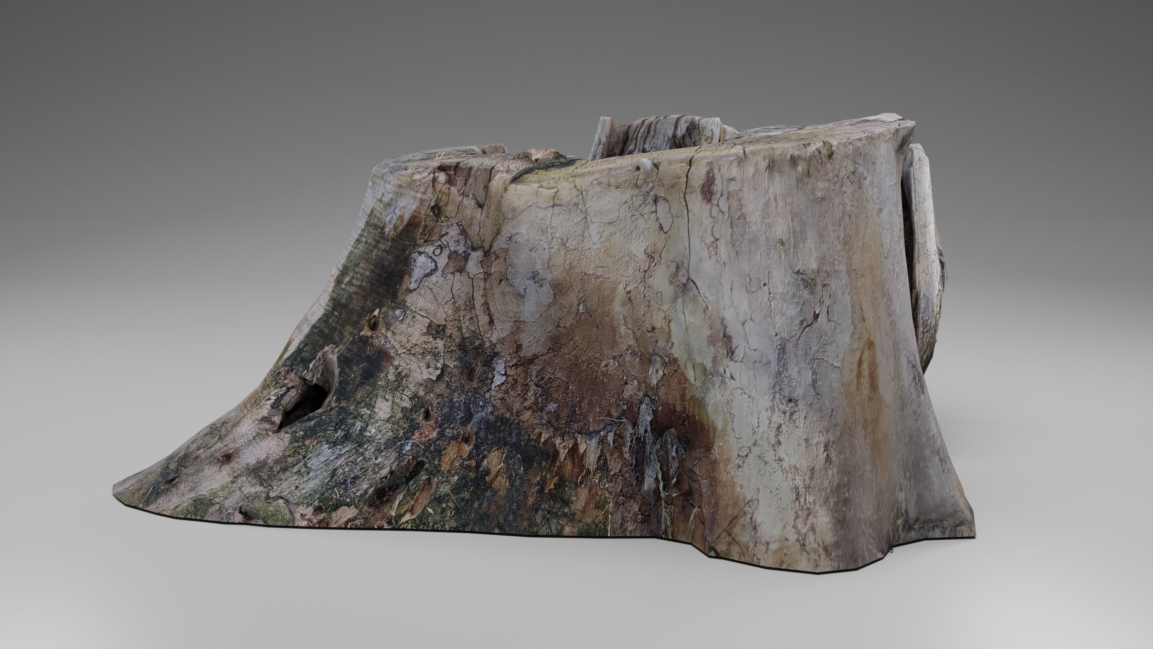 Tree Stump 002 Photoscan PBR Game Ready Free low-poly 3D model_5