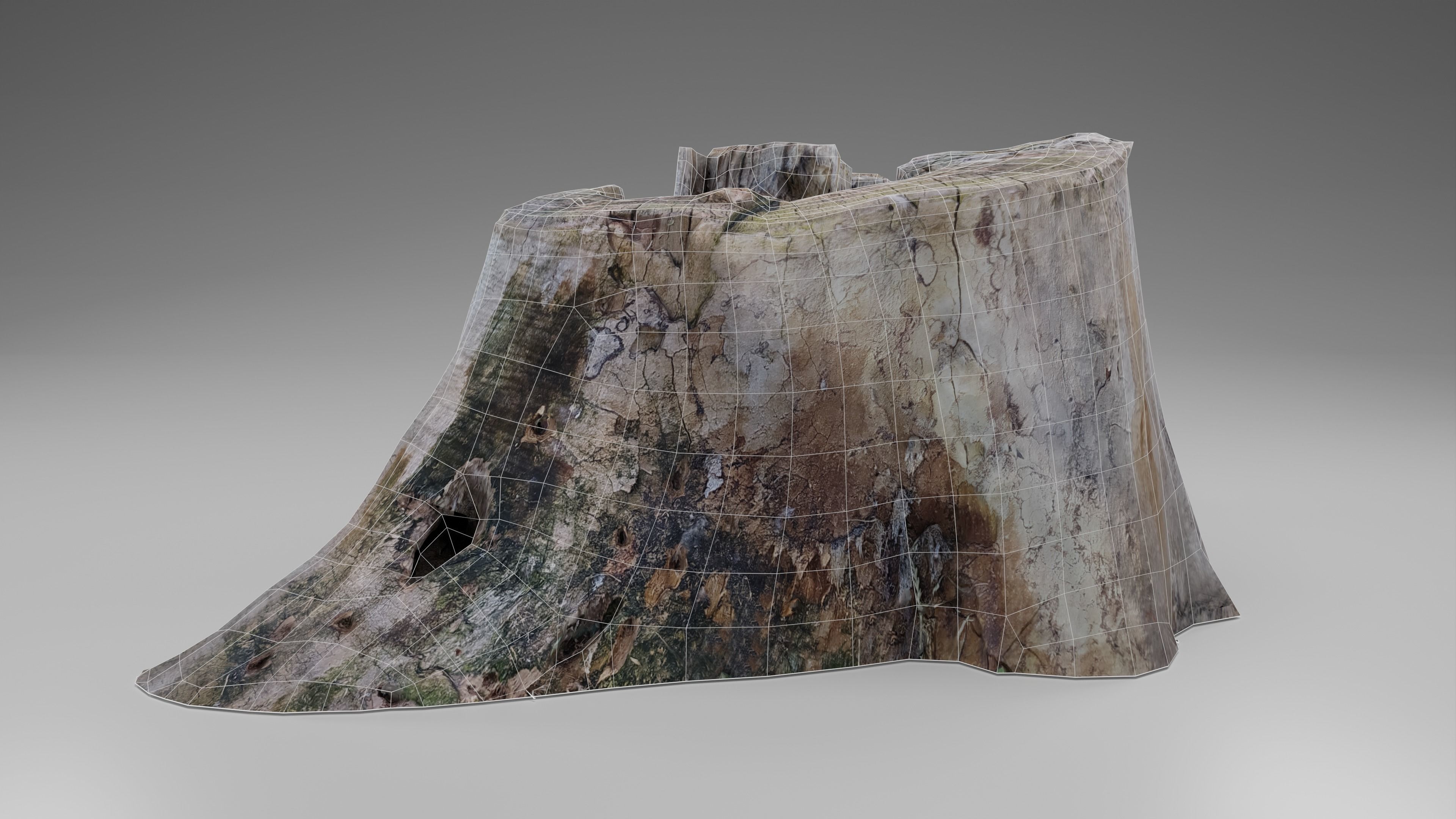 Tree Stump 002 Photoscan PBR Game Ready Free low-poly 3D model_6