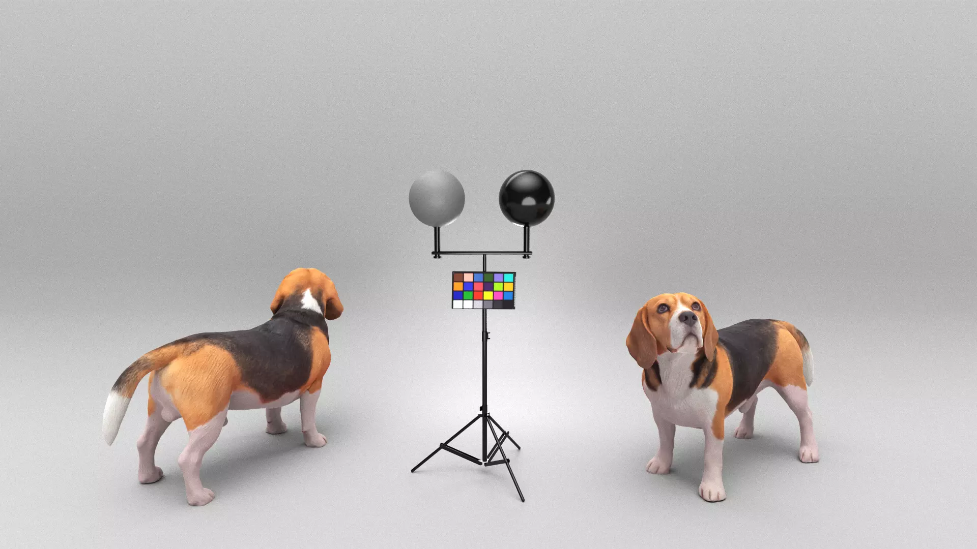 Walking dog 27 Low-poly 3D model_0