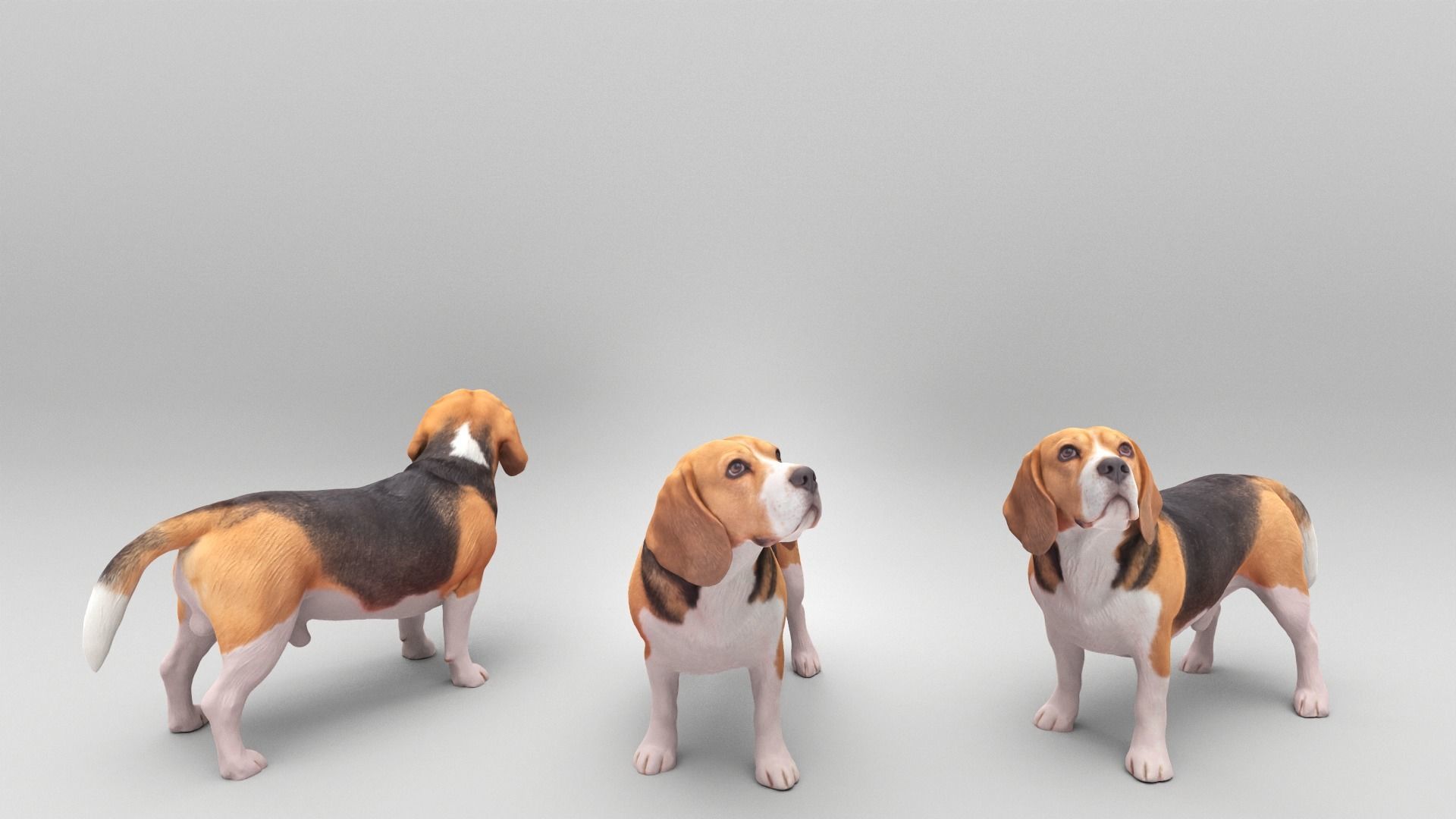 Walking dog 27 Low-poly 3D model_3
