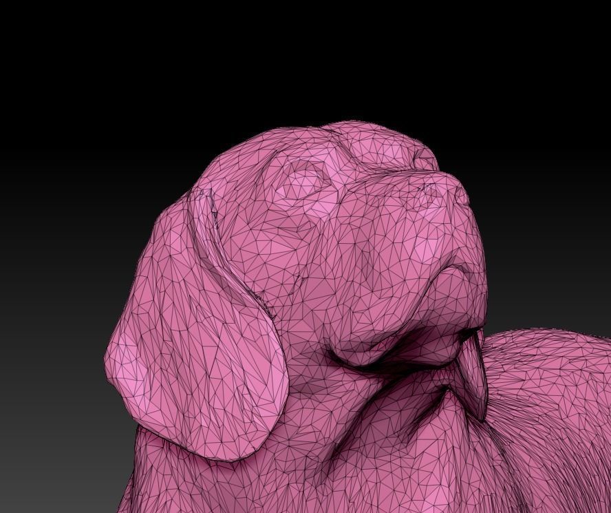 Walking dog 27 Low-poly 3D model_7