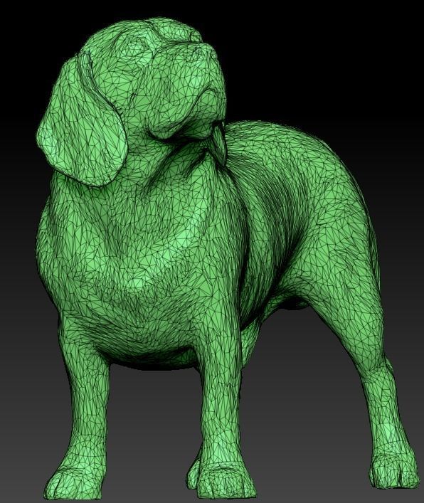 Walking dog 27 Low-poly 3D model_5